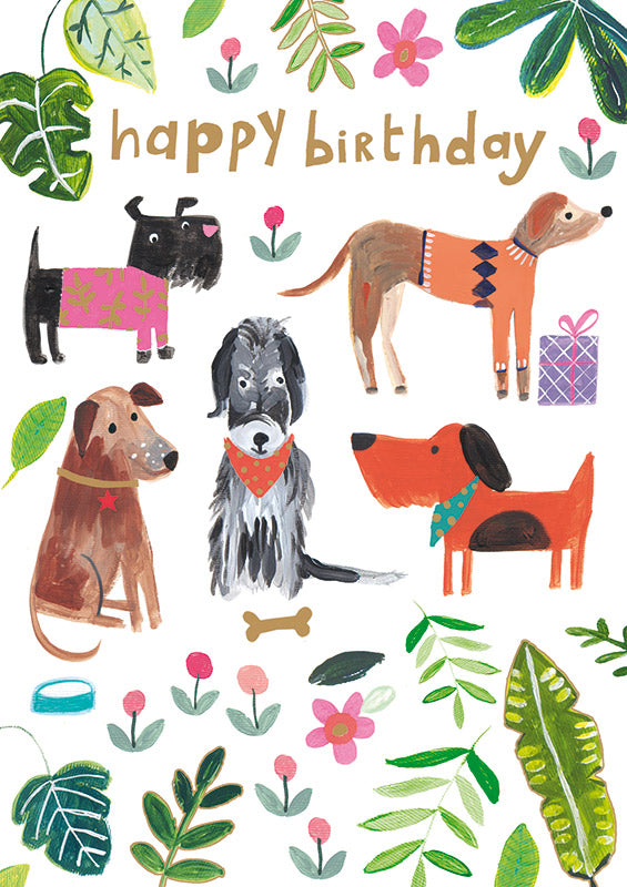 Happy Birthday Dogs Card-